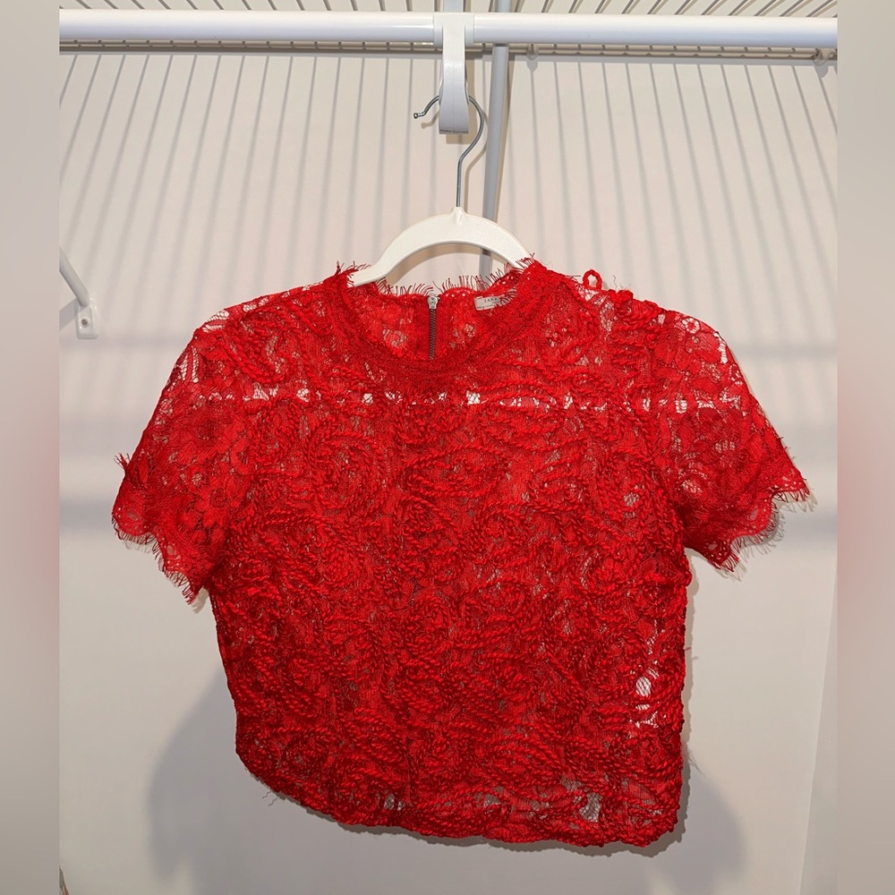 Zara Red Lace Crop Top